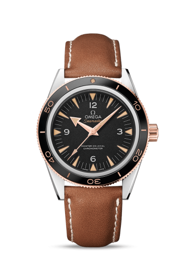 Omega Seamaster 300 Master Co-Axial Steel Stainless Steel / Sedna Gold / Strap